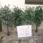 Svetna stabla i vestacko cvece