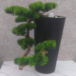 Vestacki bonsai