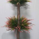 Svetna stabla i vestacko cvece